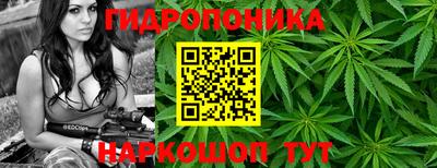 мдма Моздок