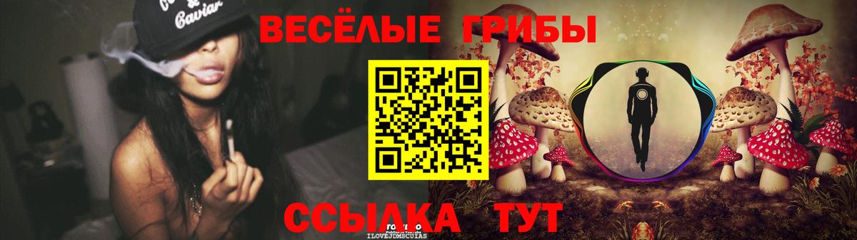 Галлюциногенные грибы Psilocybine cubensis Дивногорск